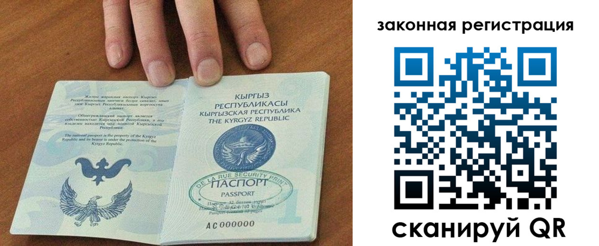 прописка гарантия в Сальске
